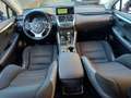 Lexus NX 300 Hybrid Business Unico Proprietario Cronologia Tagl Gris - thumbnail 10
