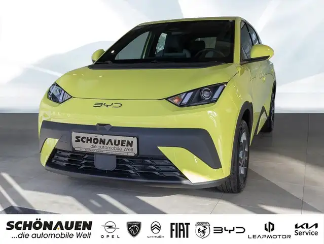 BYD Dolphin Surf