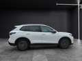 Volkswagen Tiguan TDI Goal DSG Matrix AHK Navi AID ACC RFK SH Weiß - thumbnail 8