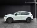 Volkswagen Tiguan TDI Goal DSG Matrix AHK Navi AID ACC RFK SH Weiß - thumbnail 4