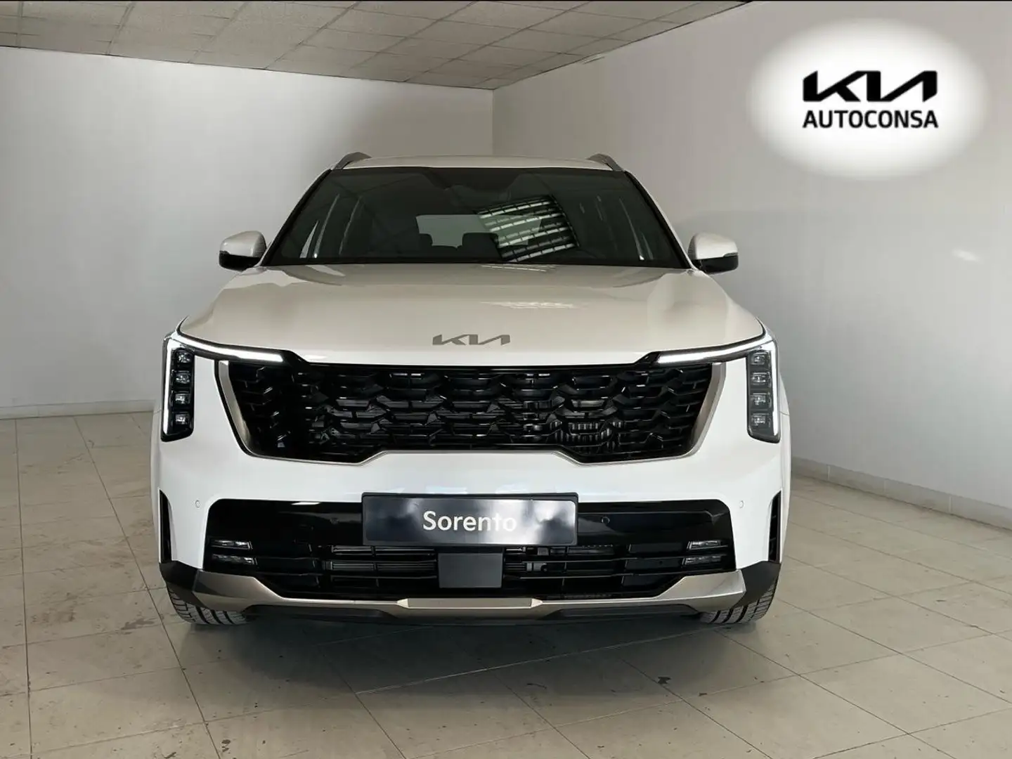 Kia Sorento 1.6 T-GDi HEV Drive 4x2 7pl Bleu - 2