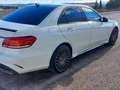 Mercedes-Benz E 220 BT Elegance Aut. Blanco - thumbnail 7