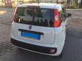 Fiat Panda 1.2 Easy Weiß - thumbnail 3