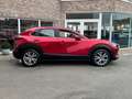 Mazda CX-30 CX-30 2.0 M HYBRID / Automaat / 60000km Rood - thumbnail 6