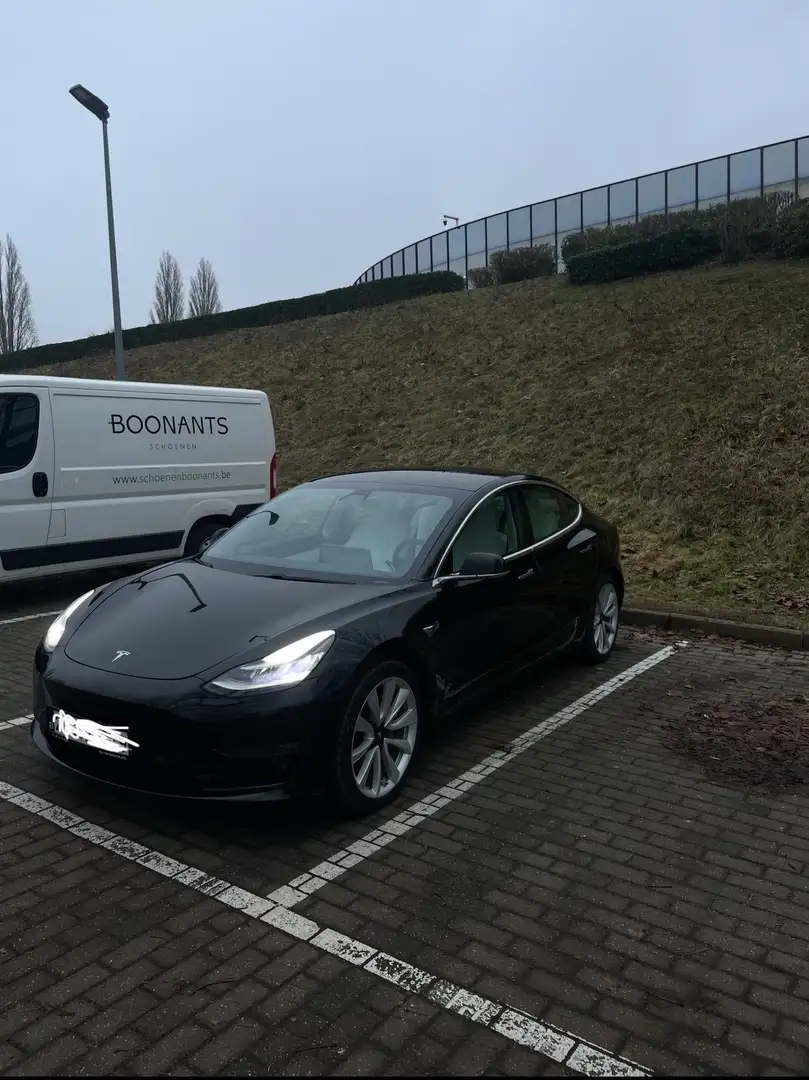 Tesla Model 3 Dual motor Wit interieur - 2