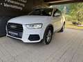 Audi Q3 2,0 TDI quattro S-tronic *Drive Select*PDC*Navi... Weiß - thumbnail 1