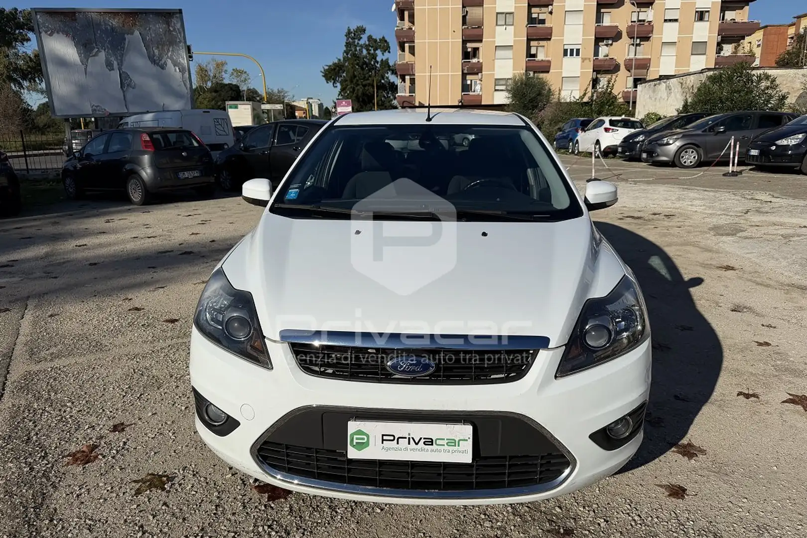 Ford Focus Focus 2.0 TDCi Powershift SW Tit. DPF Bianco - 2