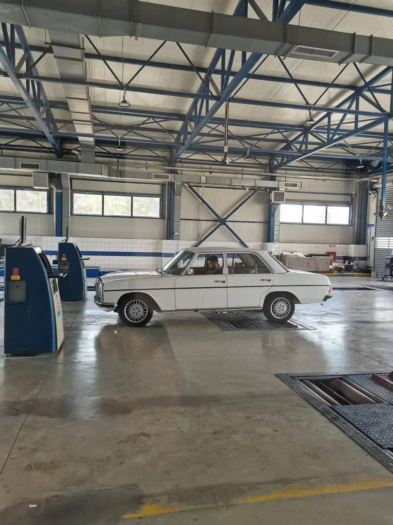 Mercedes-Benz 220 standart Fehér - 1