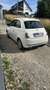 Fiat 500 - thumbnail 5