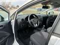 SEAT Leon Chili-Copa 1,2 TSI***TOP-ZUSTAND*** Weiß - thumbnail 14