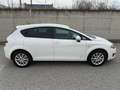 SEAT Leon Chili-Copa 1,2 TSI***TOP-ZUSTAND*** Weiß - thumbnail 4