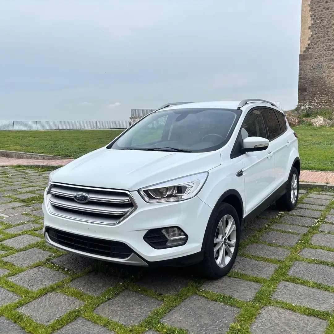 Ford Kuga 2.0 TDCI 150 CV S&S 2WD Titanium Bianco - 2