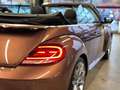 Volkswagen Beetle BEETLE CABRIOLET DESIGN NAVI XENON SHZ CAMERA Braun - thumbnail 25