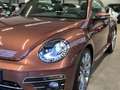 Volkswagen Beetle BEETLE CABRIOLET DESIGN NAVI XENON SHZ CAMERA Braun - thumbnail 24