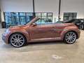 Volkswagen Beetle BEETLE CABRIOLET DESIGN NAVI XENON SHZ CAMERA Braun - thumbnail 8