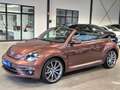 Volkswagen Beetle BEETLE CABRIOLET DESIGN NAVI XENON SHZ CAMERA Braun - thumbnail 9