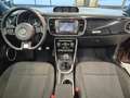 Volkswagen Beetle BEETLE CABRIOLET DESIGN NAVI XENON SHZ CAMERA Braun - thumbnail 16
