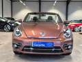 Volkswagen Beetle BEETLE CABRIOLET DESIGN NAVI XENON SHZ CAMERA Braun - thumbnail 2