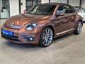 Volkswagen Beetle BEETLE CABRIOLET DESIGN NAVI XENON SHZ CAMERA Braun - thumbnail 11
