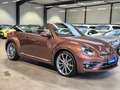 Volkswagen Beetle BEETLE CABRIOLET DESIGN NAVI XENON SHZ CAMERA Braun - thumbnail 3