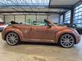 Volkswagen Beetle BEETLE CABRIOLET DESIGN NAVI XENON SHZ CAMERA Braun - thumbnail 4
