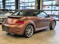 Volkswagen Beetle BEETLE CABRIOLET DESIGN NAVI XENON SHZ CAMERA Braun - thumbnail 10