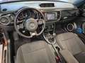 Volkswagen Beetle BEETLE CABRIOLET DESIGN NAVI XENON SHZ CAMERA Braun - thumbnail 21