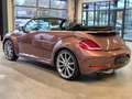 Volkswagen Beetle BEETLE CABRIOLET DESIGN NAVI XENON SHZ CAMERA Braun - thumbnail 7