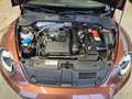 Volkswagen Beetle BEETLE CABRIOLET DESIGN NAVI XENON SHZ CAMERA Braun - thumbnail 28