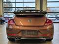 Volkswagen Beetle BEETLE CABRIOLET DESIGN NAVI XENON SHZ CAMERA Braun - thumbnail 6