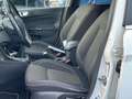 Ford Fiesta 5p 1.4 Titanium Gpl 95cv E6 Wit - thumbnail 6