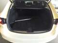 Mazda 6 2023 5WGN 2.5L SKY-G 194ps 6AT FWD EXCLUSIVE-LINE Weiß - thumbnail 8
