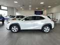 Lexus UX 250h Hybrid Auto Navi Camera Adap.Cruise FariLED Bianco - thumbnail 37