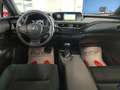 Lexus UX 250h Hybrid Auto Navi Camera Adap.Cruise FariLED Bianco - thumbnail 3
