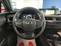 Lexus UX 250h Hybrid Auto Navi Camera Adap.Cruise FariLED Bianco - thumbnail 16