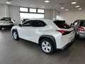 Lexus UX 250h Hybrid Auto Navi Camera Adap.Cruise FariLED Bianco - thumbnail 9