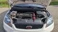 Ford Focus Focus Mk2 2.5 20V ST Blanc - thumbnail 8