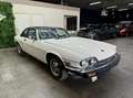 Jaguar XJSC V12 TARGA 5.3 Beige - thumbnail 5