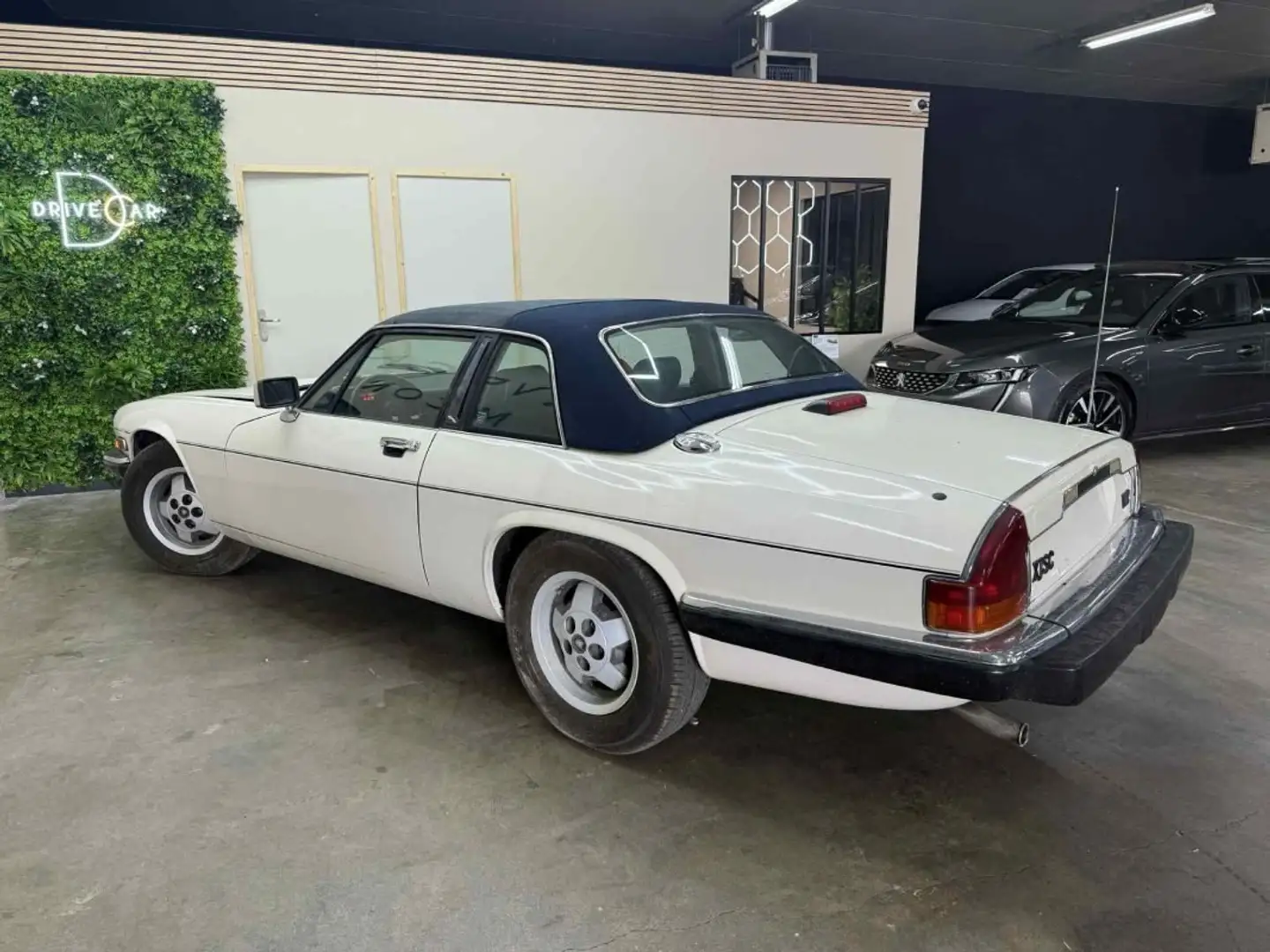 Jaguar XJSC V12 TARGA 5.3 Beige - 2