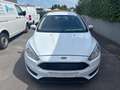 Ford Focus Focus 1.5 Blanco - thumbnail 1