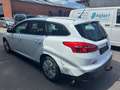 Ford Focus Focus 1.5 Blanco - thumbnail 6
