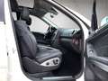 Mercedes-Benz ML 350 CDI 4Matic Ahk/Standheizung/Airmatic/GSHD Blanc - thumbnail 12
