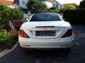 Mercedes-Benz SLC 200 SLC 200 9G-TRONIC Weiß - thumbnail 3
