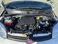 Fiat Panda Panda 1.0 FireFly S&S Hybrid Red Blanc - thumbnail 11