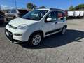 Fiat Panda Panda 1.0 FireFly S&S Hybrid Red Blanc - thumbnail 2