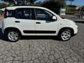 Fiat Panda Panda 1.0 FireFly S&S Hybrid Red Blanc - thumbnail 3