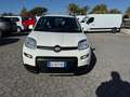 Fiat Panda Panda 1.0 FireFly S&S Hybrid Red Blanc - thumbnail 1