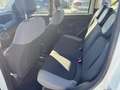 Fiat Panda Panda 1.0 FireFly S&S Hybrid Red Blanc - thumbnail 13