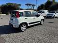 Fiat Panda Panda 1.0 FireFly S&S Hybrid Red Blanc - thumbnail 4
