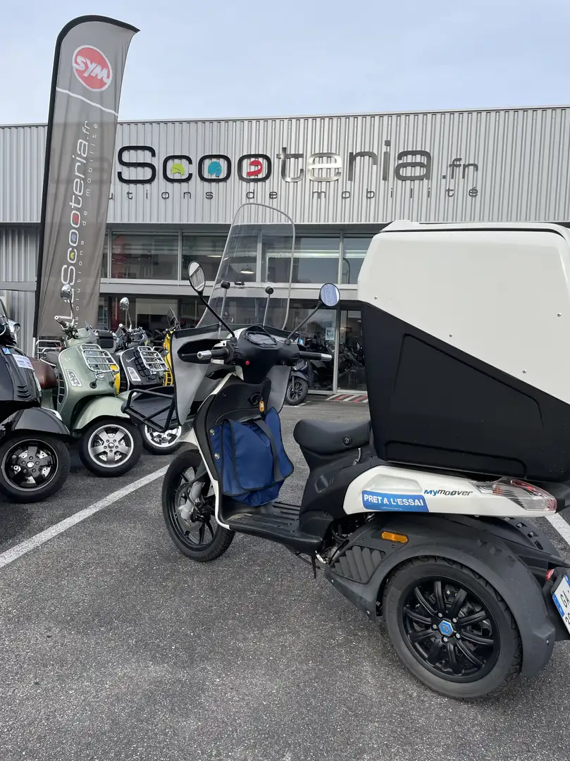 Piaggio Blanc - 1